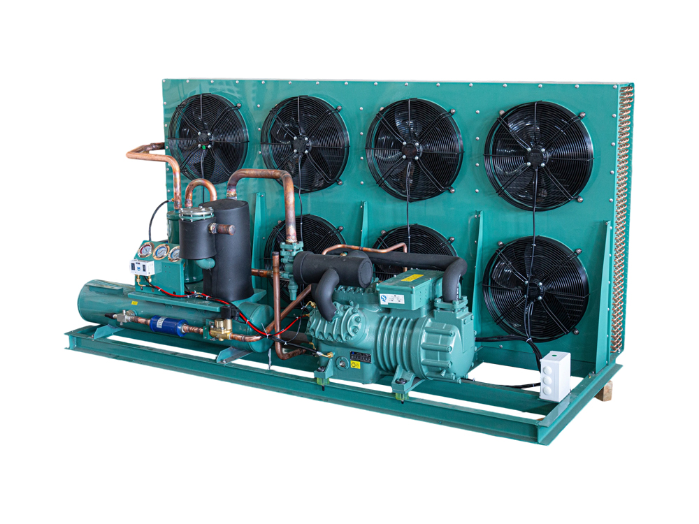 30HP দুই পর্যাচকারী প্যাকিং সংকোয়ীভূত ইউনিট খোলা