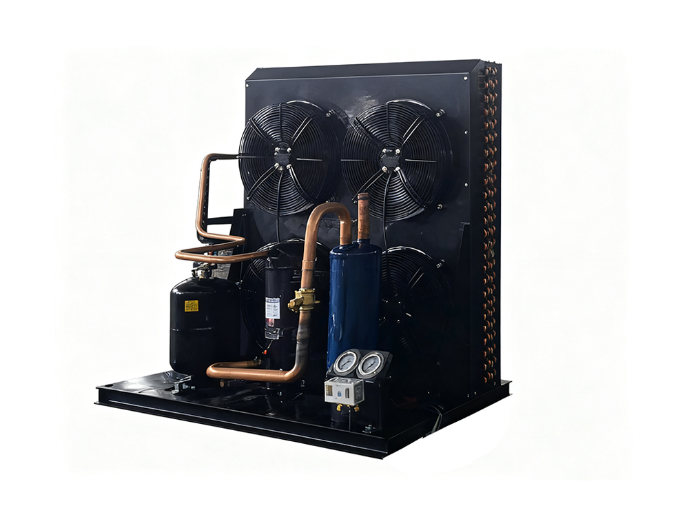 8HP ওপেন প্যাকিং কনডেন্সিং ইউনিট